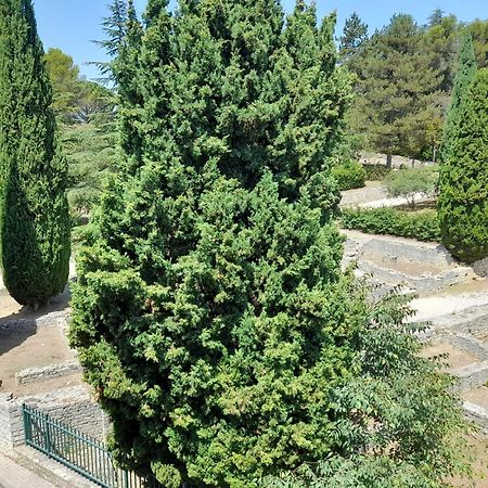 베종 라 로멘 Grande Terrasse Et Vue Sur Le Site Antique 아파트 외부 사진