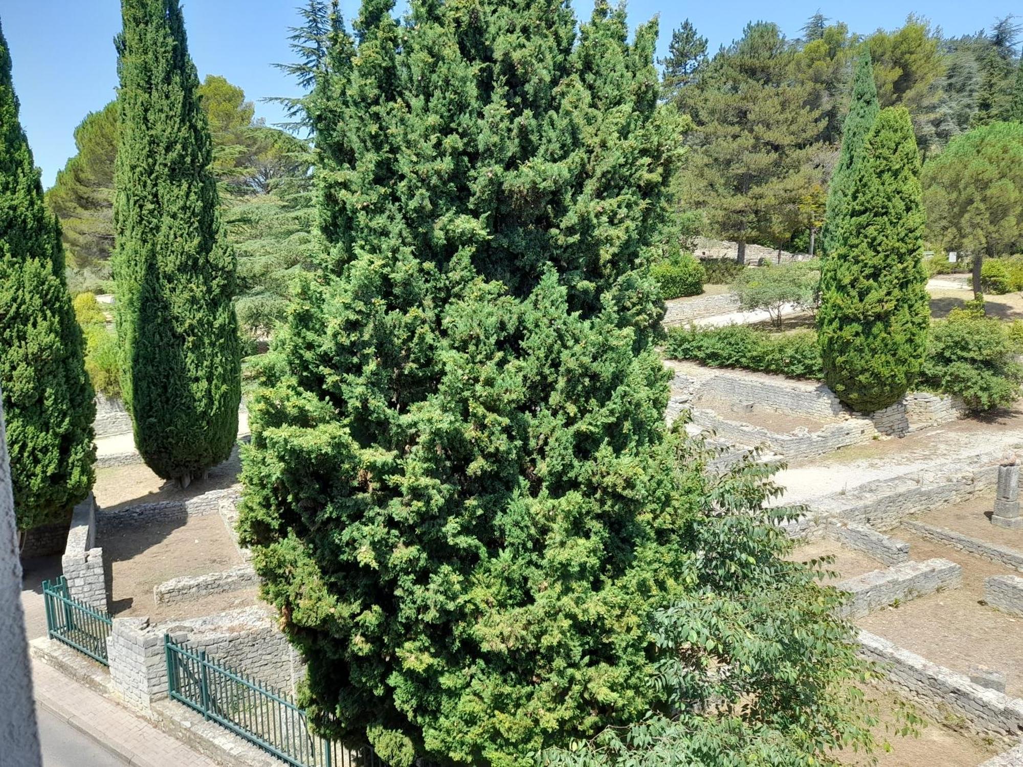 베종 라 로멘 Grande Terrasse Et Vue Sur Le Site Antique 아파트 외부 사진